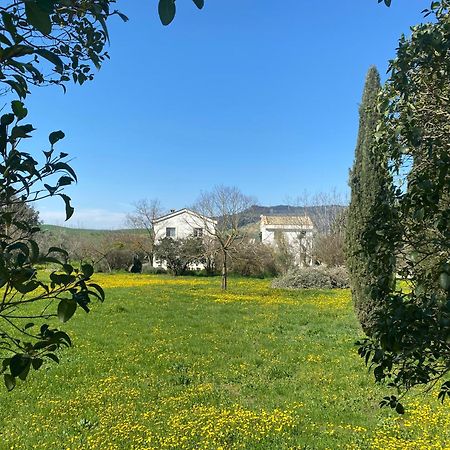 Agriturismo Colle Igino Matera Eksteriør billede
