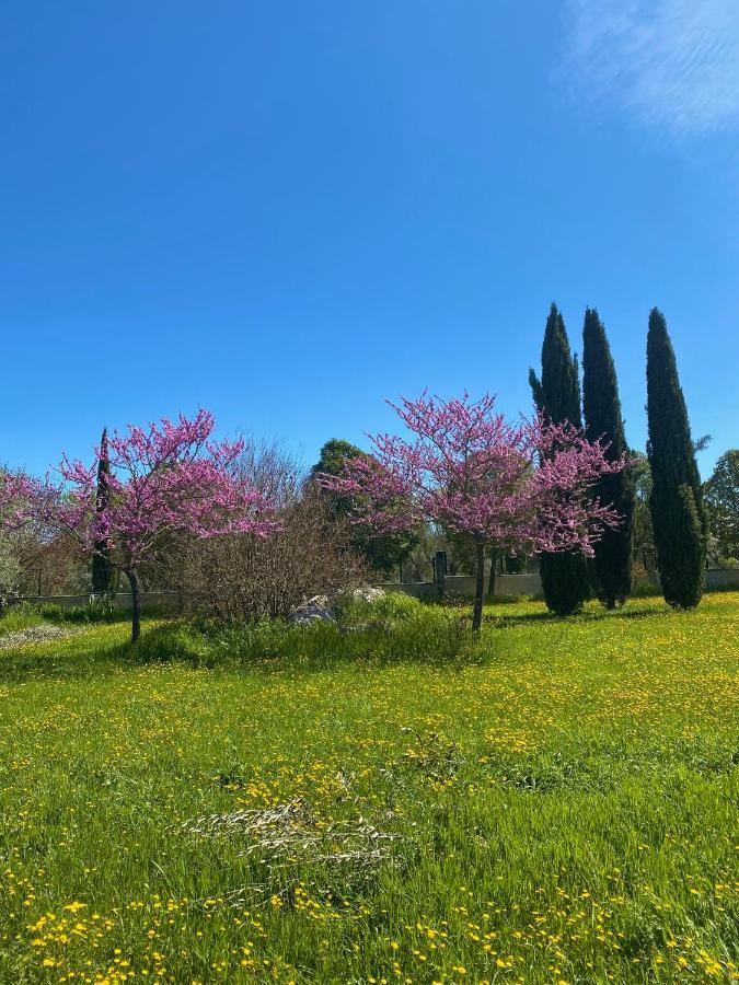 Agriturismo Colle Igino Matera Eksteriør billede