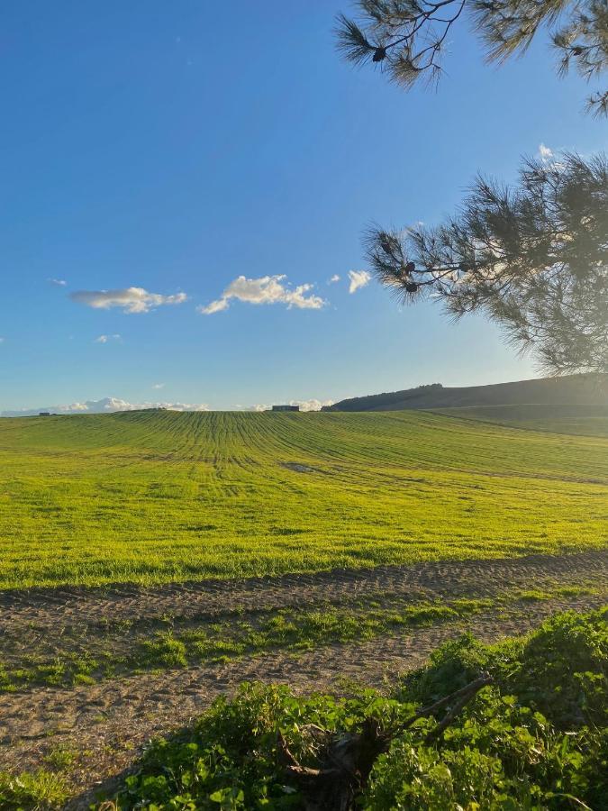 Agriturismo Colle Igino Matera Eksteriør billede
