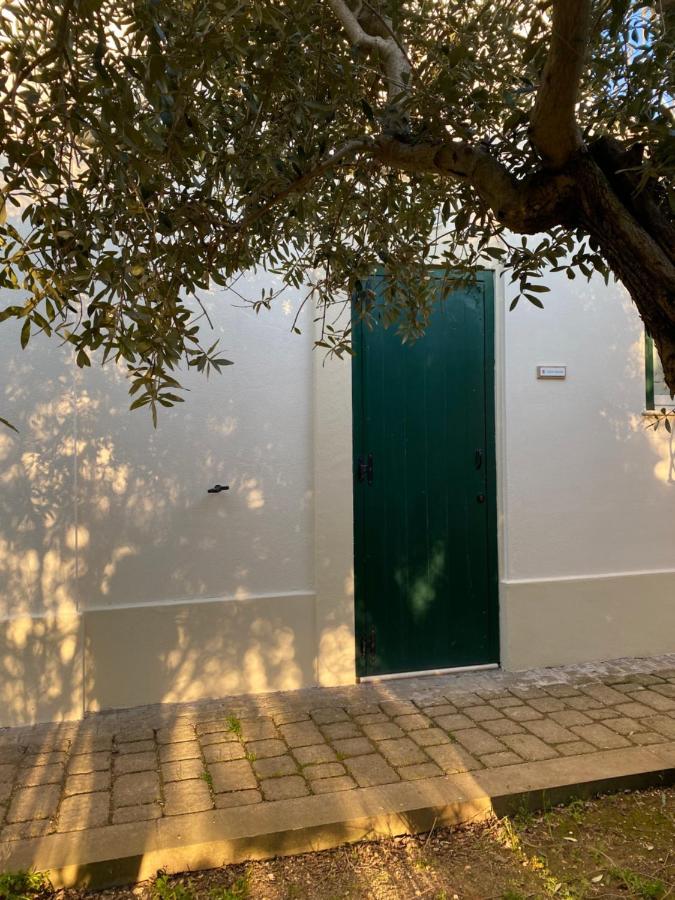 Agriturismo Colle Igino Matera Eksteriør billede