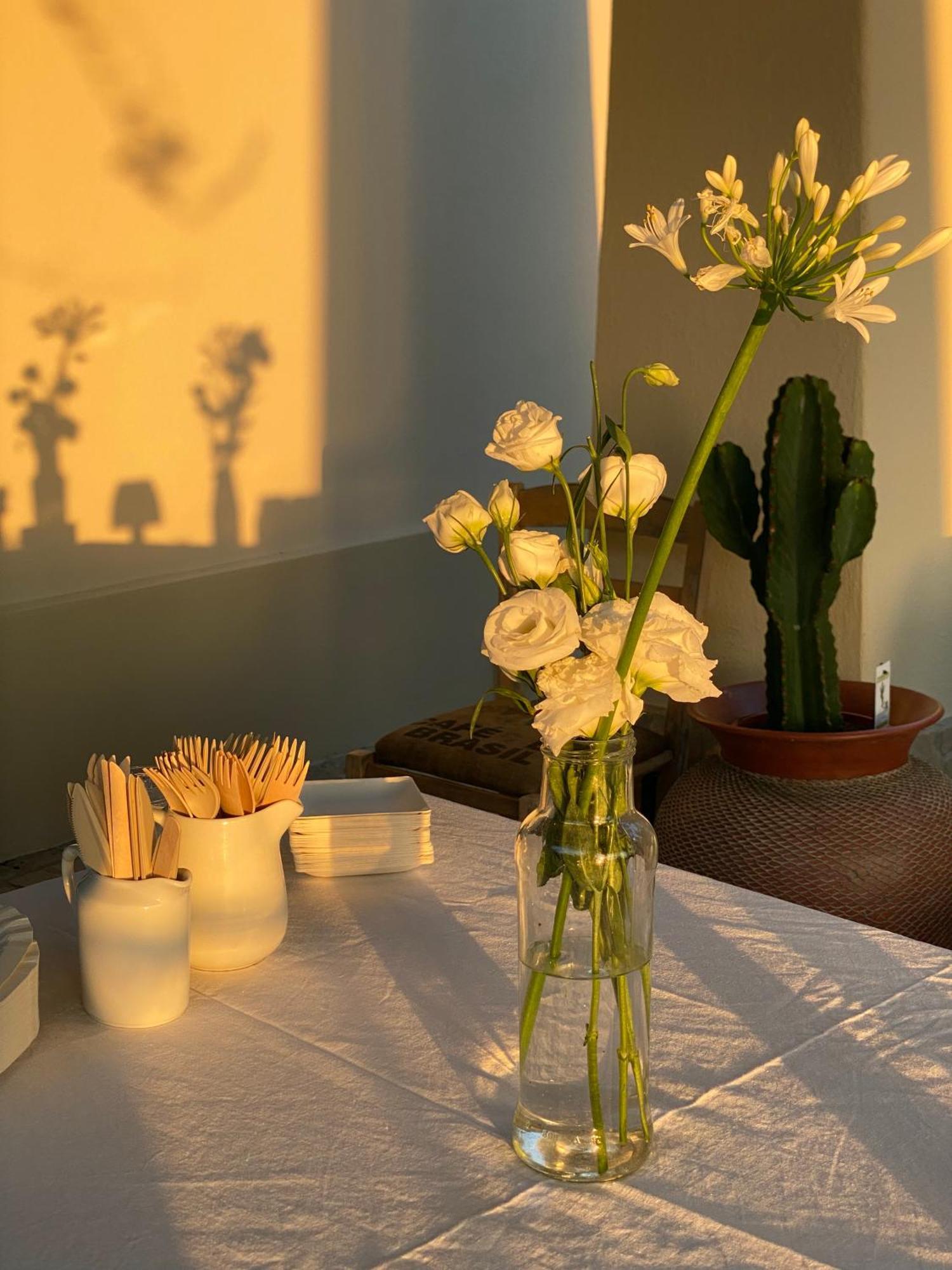 Agriturismo Colle Igino Matera Eksteriør billede