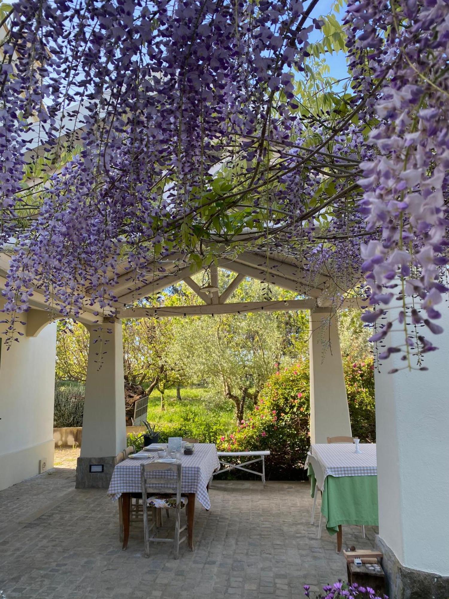 Agriturismo Colle Igino Matera Eksteriør billede