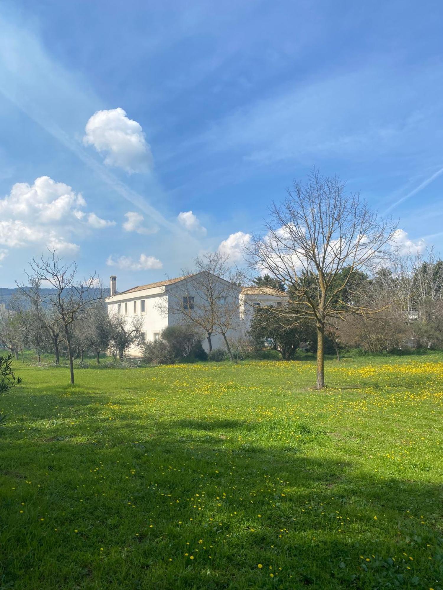 Agriturismo Colle Igino Matera Eksteriør billede