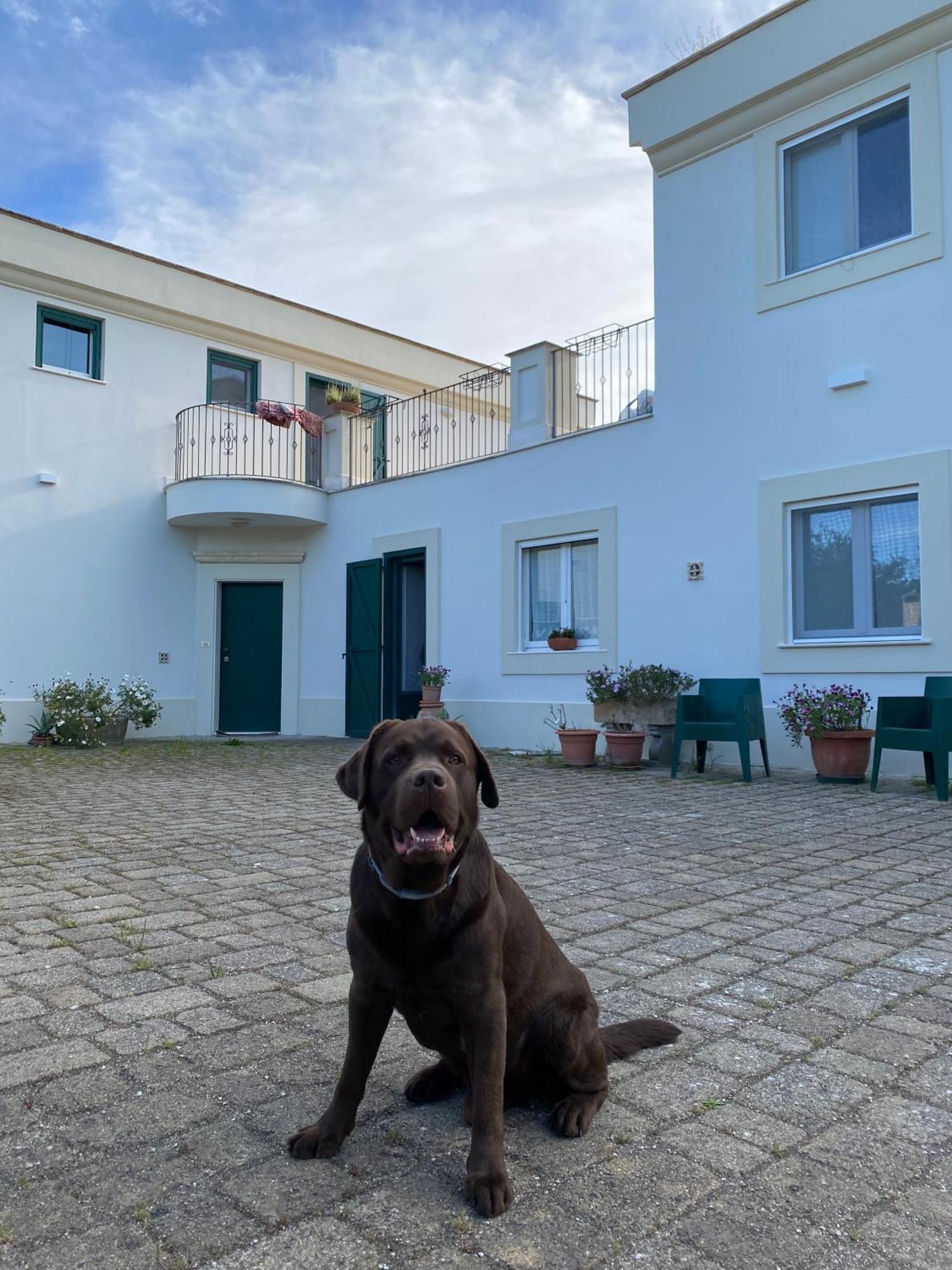 Agriturismo Colle Igino Matera Eksteriør billede